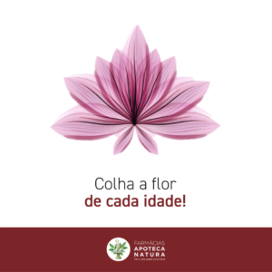 COLHA A FLOR DE CADA IDADE - Apoteca Natura